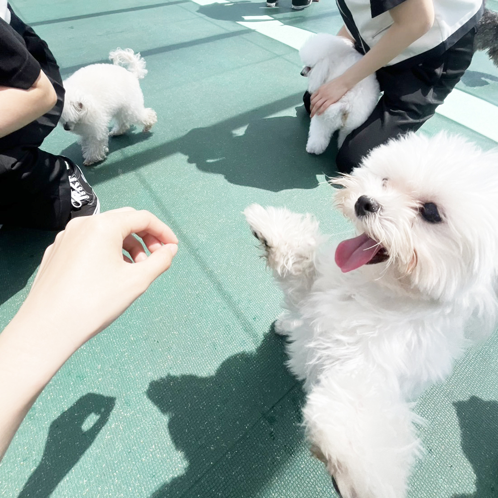 kBefʐ^@